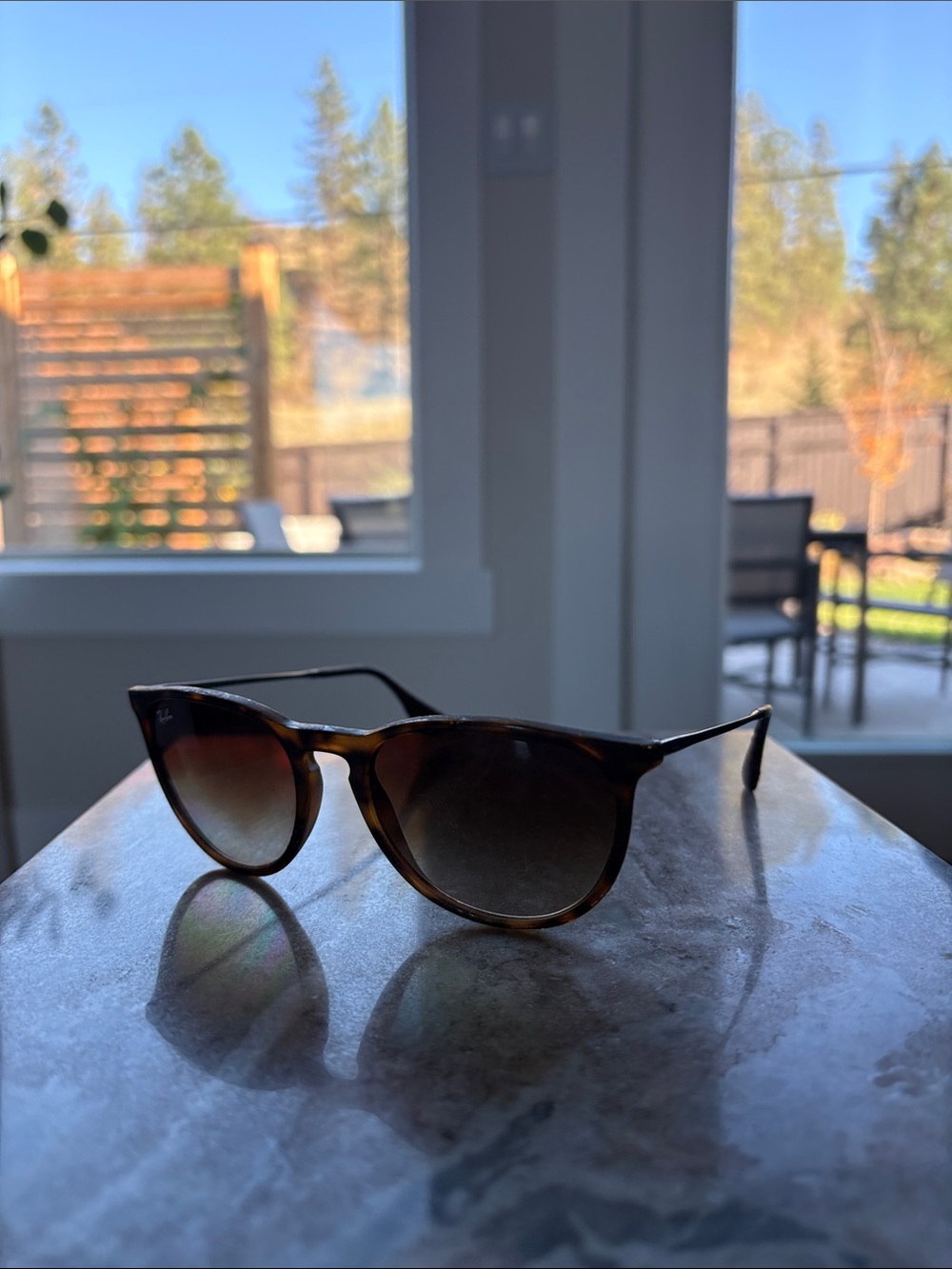 Ray-Ban Women’s Tortoiseshell Sunglasses